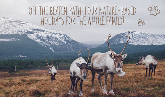 Off The Beaten Path: Four Nature-Based Holidays In Britain That The Whole Family Will Be Wild For!