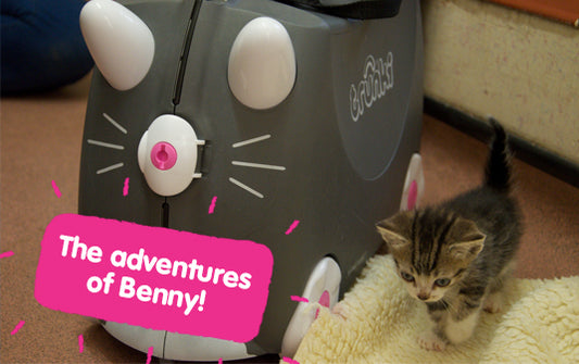 The Adventures Of Benny The Cat Trunki!