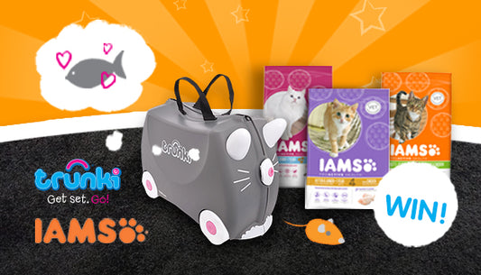Competition: WIN a Benny the Cat Trunki and a 3 Month Supply of IAMS!