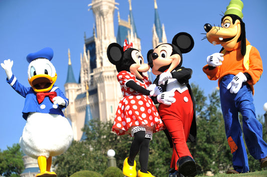 Top Tips For Travelling To Walt Disney World!